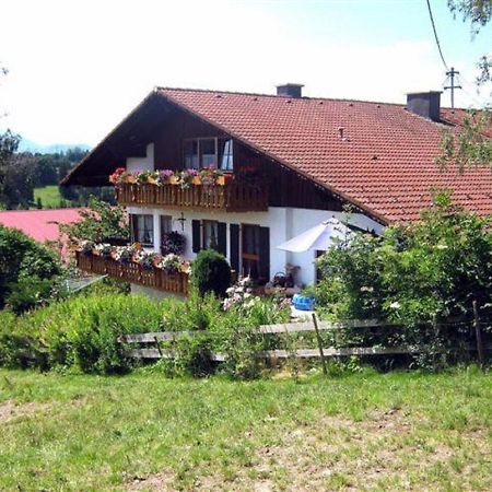 Haus Bergblick Apartment Oy-Mittelberg Exterior photo